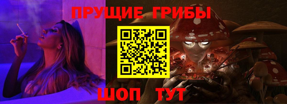 Златоуст  Псилоцибиновые грибы Psilocybe  Псилоцибиновые грибы мицелий  Вход с VPN 